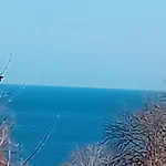 морски диамант