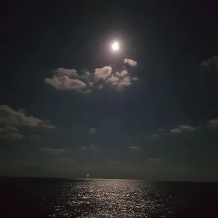 морски диамант *